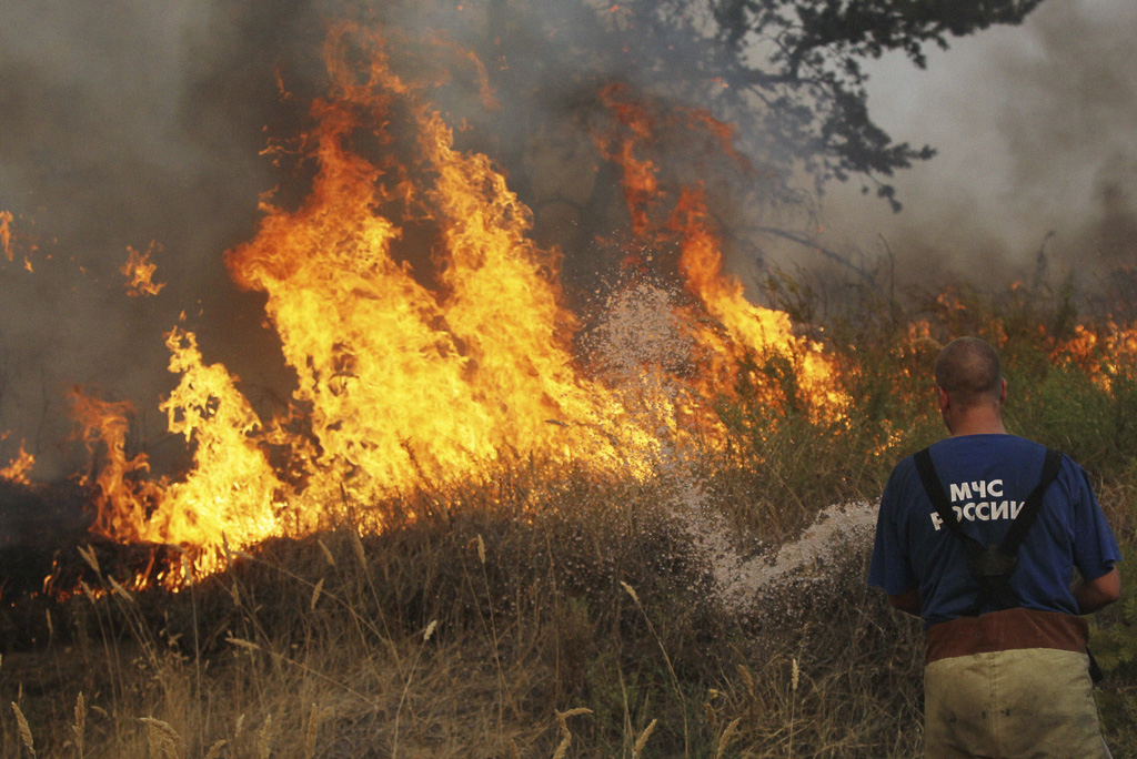 Illustration for news: Scientists Assess the Effectiveness of Forest Fires Suppression in the Russian Regions